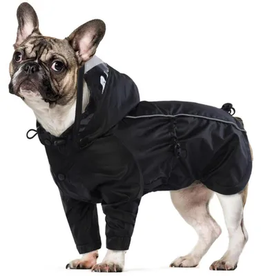 Immagine prodotto di Impermeabile per cani, con cappuccio, taglia piccola, colore nero, taglia S