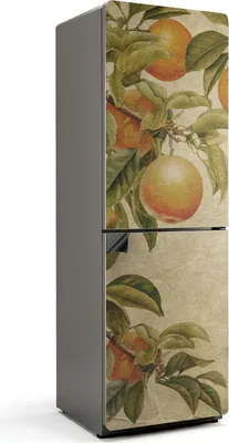 Zdjęcie produktu dla Gałęzie z owocami - Magnetyczna osłona lodówki - Magnetyczna folia dekoracyjna do kuchni - Magnetyczna dekoracja lodówki - Samoprzylepna tablica magnetyczna - Folia magnetyczna na drzwi lodówki - 60x180 cm
