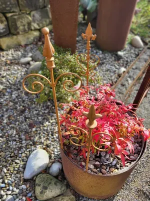 Produktbild von Edelrost 3er Set Rankstäbe für Blumenkübel, 60 cm