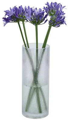 Obrázok produktu pre Solidchoice – Priehľadná váza valcového tvaru, výška 25 cm