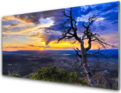 Produktbild von Acrylglasbilder 100x50 Wandbild Druck Baum Landschaft