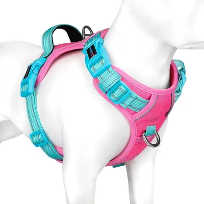 Image de Harnais anti-traction pour chien avec poignée, réfléchissant, réglable, rose/vert, taille S