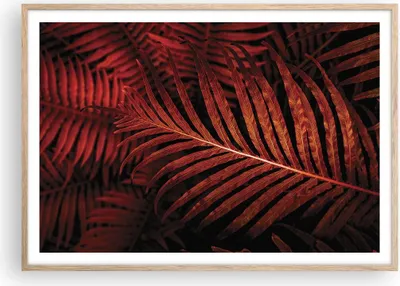 Produktbild von Gerahmtes Poster - Rahmen in heller Eiche - Rot Blätter Palmen - 100x70 cm - Wand Bild - Wanddeko - Wandbilder - Kunstposter - Wandposter - Bilderrahmen - Bilder - Kunstdruck - P2NAA100x70-4816