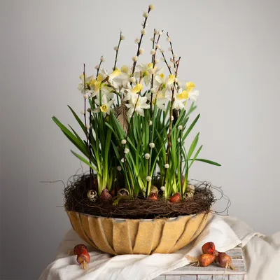 Produktbild von Pflanzschale aus Kunststoff für dekorative Blumenarrangements