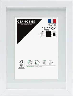 Image de CEANOTHE, cadre photo Milan, blanc, 40x50 cm, avec passe-partout 30x40 cm