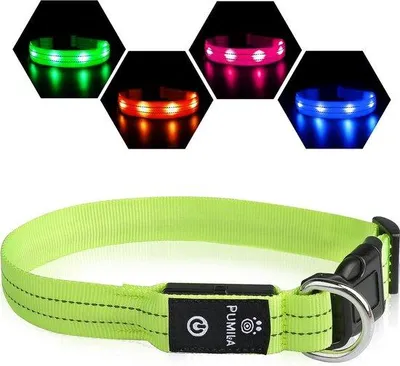 Image de Collier lumineux et étanche, vert, rechargeable par USB, réglable