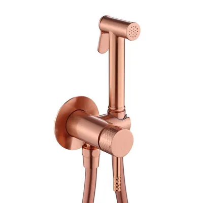 Image de WEBO Bidetset Handdouche complet RVS cuivre chaud froid Mitigeur bidet