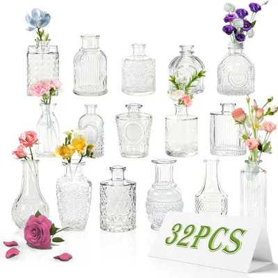 Image de LARS360 32 pièces Petits vases d'étalage en verre, mini set de vases déco de table Transparent - Vases à fleurs & vases à bourgeons, généreux polyvalent avec un caractère pratique