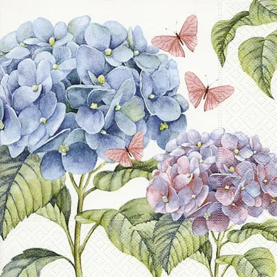 Produktbild von Motivserviette 33x33cm Blumen/Schmetterl