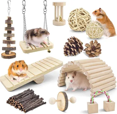 Produktbild von ERKOON Hamster Spielzeug Naturholz 12 Stück für Meerschweinchen Chinchillas Rennmäuse