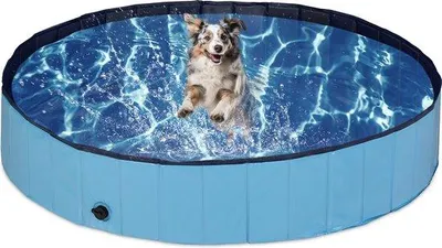 Immagine prodotto di Piscina per cani 30x160 cm in PVC blu e MDF per cani di taglia media, con coperchio per lo scarico.