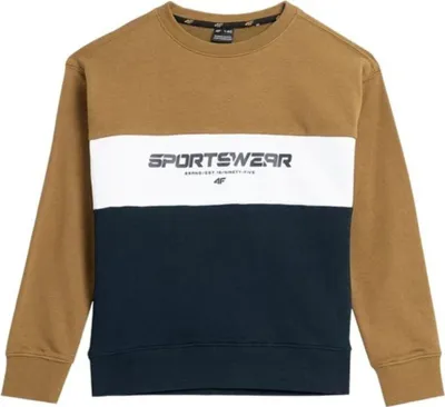 Produktbild von Kapuzenpullover 4F 4FJAW23TSWSM63074S