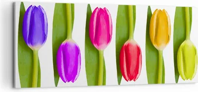 Produktbild von Bild auf Leinwand - Leinwandbild - Tulpe Blume Garten Komposition - 120x50cm - Wand Bild - Wanddeko - Leinwanddruck - Bilder - Kunstdruck - Wanddekoration - Leinwand bilder - Wandkunst - AB120x50-2360