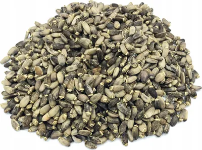 Produktbild von Mariendistel Mariendistelsamen 1 Kg 100%