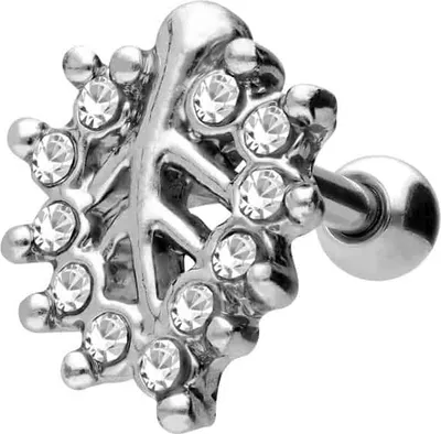 Produktbild von Ohrpiercing Chirurgenstahl Ohrpiercing KRISTALLBLATT