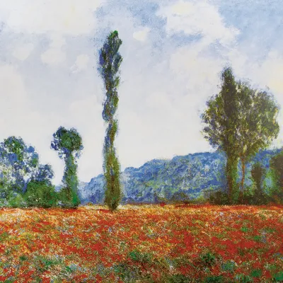 Produktbild von Claude Monet Kunstdruck Bild - Mohnblumenfeld In Giverny, 1890 (100 x 100 cm)