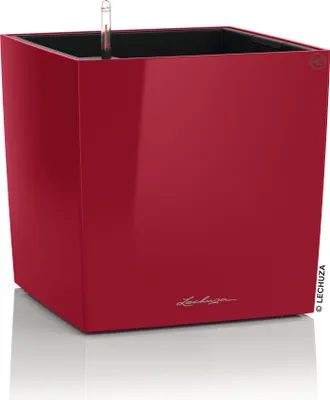 Produktbild von LECHUZA-Pflanzgefäß CUBE Premium 50 Scarlet Rot Hochglanz | Pflanzgefäß mit Bewässerungssystem | Hochglanz-Oberfläche | 49 x 49 x 49,5 cm | 16567