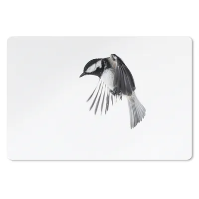 Produktbild von MuchoWow® Mauspad Mousepad Vogel - Federn - Schwarz - Weiß 27x18 cm - Mousepads - Maus Mat - Pad - Mausunterlage - Büroartikel - Desk Matten