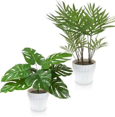 Obrázok produktu pre Sada umelých rastlín, 2-dielna, biela, 25 cm, monstera, palma, dekorácia