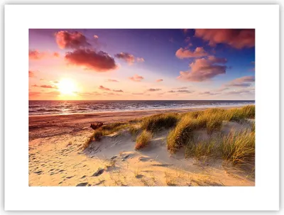 Produktbild von Poster - Poster ohne Rahmen - Meer Strand Düne - 40x30 cm - Wand Bild - Wanddeko - Wandbilder - Kunstposter - Wandposter - Bilder - Kunstdruck - Wanddekoration - Wandbild - P2XAA40x30-3540