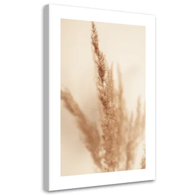 Produktbild von Leinwandbild Beiges Pampasgras 40x60 Feeby Beige bild für die wand bereit zum aufhängen