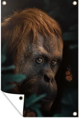 Produktbild von MuchoWow®