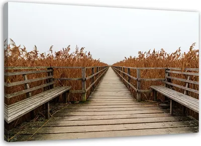 Produktbild von Leinwandbild grasbrücke strandlandschaft 90x60 cm Feeby braun wandbild bereit zum aufhängen
