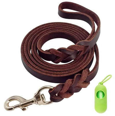 Produktbild von Leder Hundeleine 1,2m / 1,6m / 2,1m, geflochten, reißfest, für große/mittelgroße Hunde