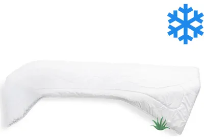 Image de Couverture Thermo Aloe Vera 140x220cm hiver 1850g