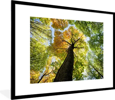 Produktbild von MuchoWow® Gerahmtes Poster Baum - Natur - Wald 80x60 cm - Poster mit Schwarzem Bilderrahmen Wandposter Rahmen Foto Bilder - Schlafzimmer-Dekorationen - Fotoposter