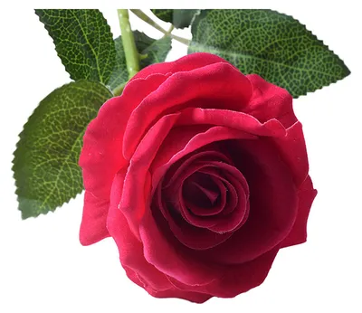 Produktbild von Künstlicher Rosenstrauß mit realistischem, langstieligem Seidenrosen-Strauß für Partys, Zuhause, Hochzeiten, Tischdekoration im Büro