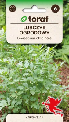 Zdjęcie produktu dla Nasiona ziół Lubczyk Ogrodowy zioła - Toraf 299