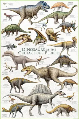 Image de Educational Dinosaurs Cretaceous Period Dinosaurier - Poster Druck 61x91,5 cm