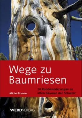 Zdjęcie produktu dla Wege zu Baumriesen