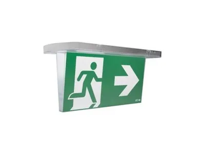 Image de Diffuseur conique pour lampes de sécurité SAFELITE SL2CD EATON