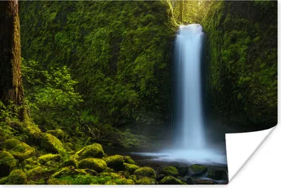 Produktbild von MuchoWow® Poster Dschungel - Wasserfall - Natur 30x20 cm - Plakate - Print