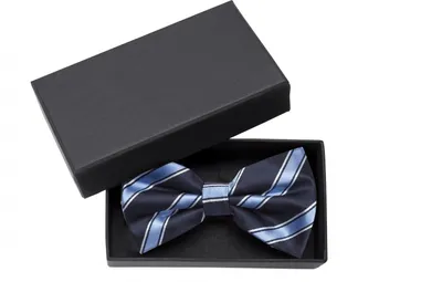 Produktbild von Fabio Farini - 1 Stück Herren Fliegen Farbton Blau - Männer Querbinder Vorgebunden Streifen - Dunkelblau/Blau/Weiß/Schwarz