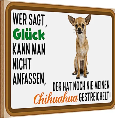 Produktbild von Holzschild Spruch 30x20cm wer sagt Glück Chihuahua Hund