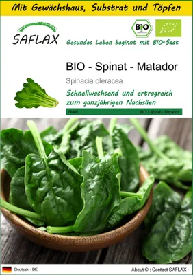 Produktbild von SAFLAX Anzucht Set - BIO - Spinat - Matador - Spinacia oleracea - 300 Samen - Mit Mini-Gewächshaus, Anzuchtsubstrat und 2 Töpfen