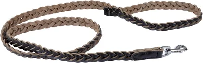 Image de Laisse en cuir tresse pour chien