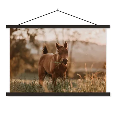 Produktbild von MuchoWow® Textilposter Pferd - Sonne - Gras 90x60 cm mit schwarzem Rahmen - Aufhängungssatz