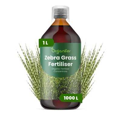 Obrázok produktu pre Tekuté hnojivo pre zebratrávu, 1 liter – vzťah živín NPK: 2-1-8 – Vhodné pre zebratrávu – Podporuje zdravý rast, silné listy a vývoj koreňov – Organifer