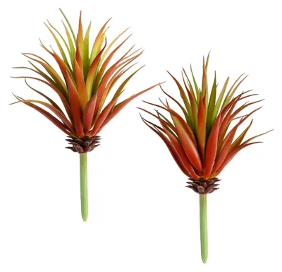 Produktbild von 2 Stück Künstliche Sukkulenten Yucca Vera, 18 cm Realistische Kunstpflanzen für Terrarien, Fühlen Sich Echt An, Herbstgrün Kleine Faux Pflanzen für Garten, Heimwerker, Zuhause, Büro, Hof, Terrasse Dekoration