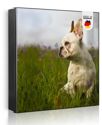 Produktbild von banjado Schlüsselkasten aus Metall, 30x30cm groß mit 32 Haken, als Magnettafel nutzbar, Korpus schwarz, Anschlag rechts, Französische Bulldogge [SKG1 10511]
