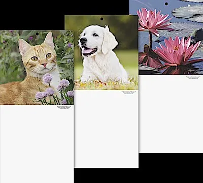 Produktbild von Wandkalender Rückwand BRUNNEN 1070342 (14,5 x 29,5 cm)