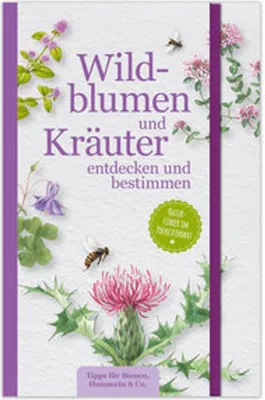 Image de Wildblumen und Kräuter entdecken und bestimmen