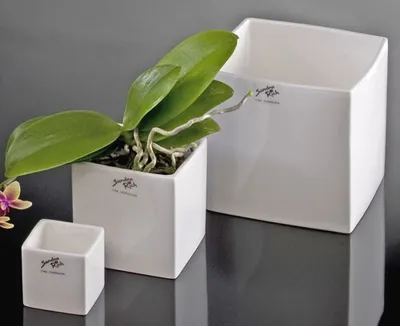 Produktbild von SANDRA RICH, Porzellan-Übertopf CUBE "Porcelain cube 14cm"