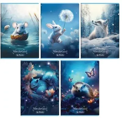 Zdjęcie produktu dla Zeszyt A5 16 kartek podwójna linia Wonderland 20 sztuk
