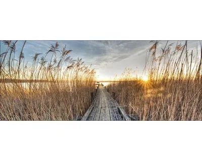Produktbild von Glasbild Way To The Sun GLA1815 125x50 cm