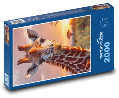 Zdjęcie produktu dla martinpuzzle - Puzzle 2000 - Żyrafa